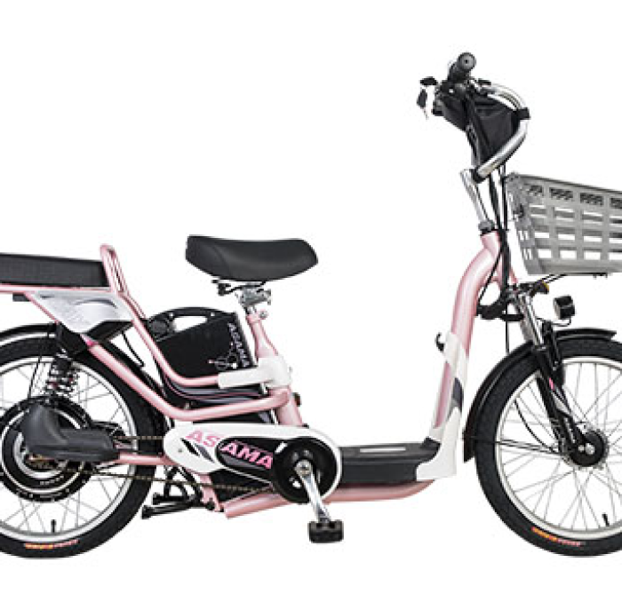 Asama EBK RY2001